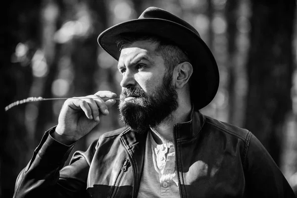 Masculinity and brutality concept. Adventures of cowboy. Man bearded cowboy nature background defocused. Brutal cowboy with long beard. Hipster tourist explore forest. Tourist hunter or gamekeeper — Stock Photo, Image