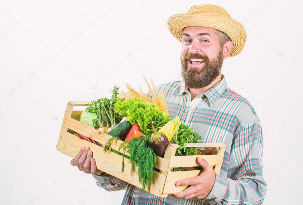 Locally grown foods. Farmer lifestyle professional occupation. Buy local foods. Farmer rustic bearded man hold wooden box with homegrown vegetables white background. Farmer guy carry harvest