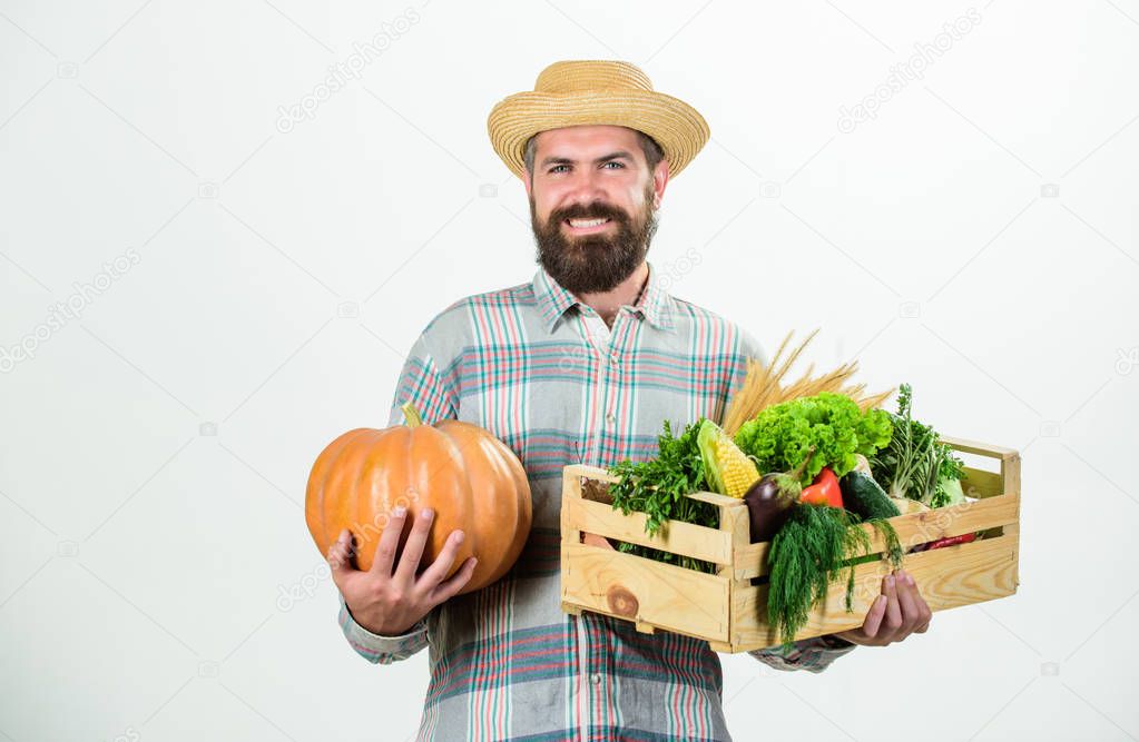 Farmer rustic bearded man hold wooden box with homegrown vegetables and pumpkin white background. Farmer carry harvest. Locally grown foods. Farmer lifestyle professional occupation. Buy local foods