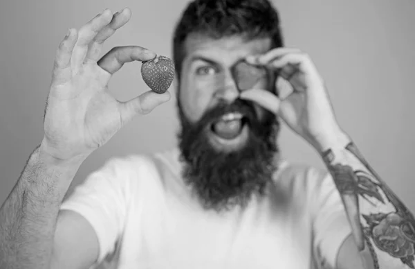 Homem barbudo piscando com baga vermelha, desfocado. Conceito perfeito de morango. Olha para a minha baga. Homem bonito hipster barba longa comer segurar morango. Hipster feliz desfrutar de suculento fundo azul de morango — Fotografia de Stock