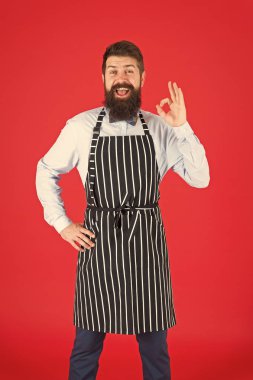 Yemek pişirmek hakkında her şeyi biliyorum. Sakallı şef aşçı. Hippi evde ya da restoranda yemek pişiriyor. Modern kafe konsepti. Modern yemekler pişirmek. Aşçı kırmızı arka plan. Sakallı adam aşçı önlüğü