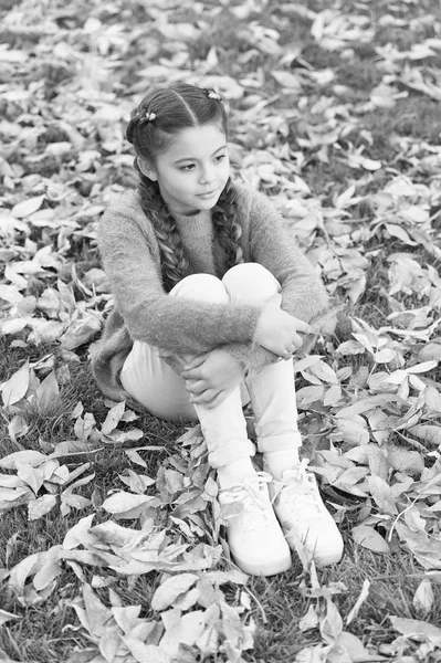 Folhas de outono e natureza. Menina feliz na floresta de outono. infância atenciosa. Hora da escola. Criança pequena com folhas de outono. Tão linda. Desfrutando do dia de outono. Relaxamento real — Fotografia de Stock