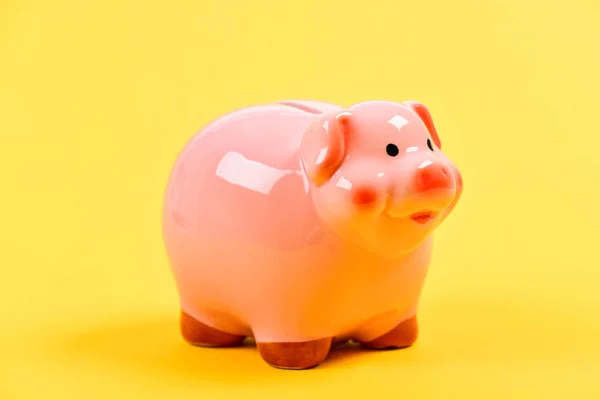 小猪银行可爱的粉红色猪特写。会计个人会计和家庭预算。存钱储蓄的存钱罐符号。金融教育。金融和投资银行。更好的银行方式 — 图库照片