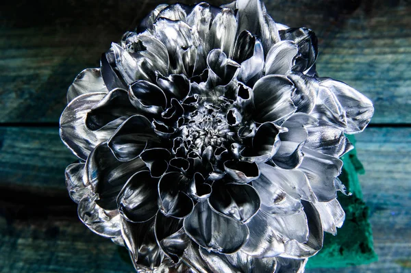 Natura morta belle arti. attività di floristica. Vintage. ricchezza e ricchezza. bellezza grunge. lusso e successo. arredamento antico metallizzato. fiore di crisantemo d'argento — Foto Stock