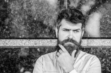 gür saçlı sakallı adam. mükemmel tarzı ile düşünceli acımasız erkek. Sakallı adam açık. Sakal bakım ve berber dükkanı. Erkek moda ve güzellik. Sakalı olgun hipster. Mükemmel sakal