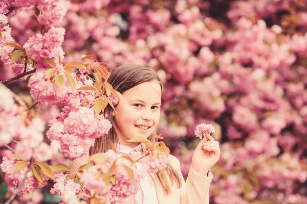Mädchen genießen blumiges Aroma. Pollenallergiekonzept. Kinder genießen Kirschblütensakura. Kind auf rosa Blumen Sakura Baum Hintergrund. Allergiemittel. Kinder genießen das Leben ohne Allergie. Blumen schnüffeln — Stockfoto