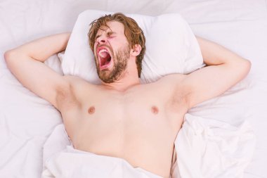 Adam yatağında yatıyor. Tembel adam mutlu yükselen yatakta uyanmak sabah taze duygu ile eller rahat. Genç adam yatak.