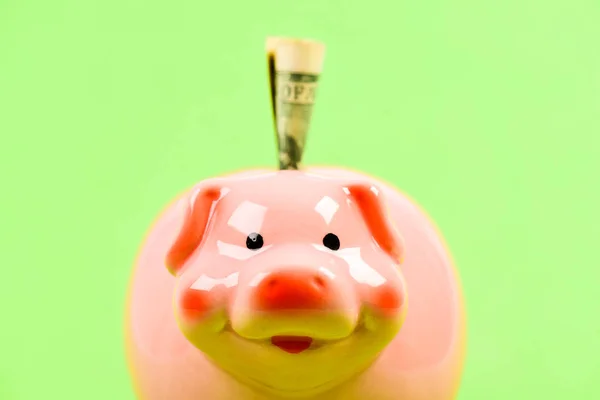 Credit concept. Money saving. Money budget planning. Financial wellbeing. Economics and finance. Piggy bank pink pig stuffed dollar banknote cash. Save money. Banking account. Earn money salary