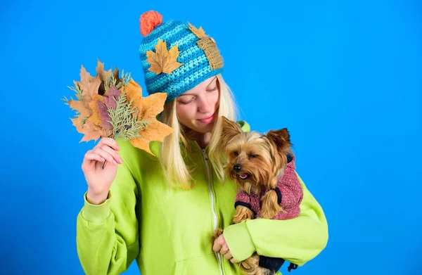 Veterinary medicine concept. Health care for dog pet. regular flea treatment. Pet health tips for autumn. Girl hug cute dog and hold fallen leaves. Woman carry yorkshire terrier. Take care pet autumn