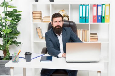 Ofis personeli kavramı. Ofis rutini. İş çözümlerinden sorumlu işadamı. İş stratejisi geliştirmek. Riskli bir iş. Adam sakallı patron dizüstü bilgisayar ile oturup. Yönetici iş sorunlarını çözme