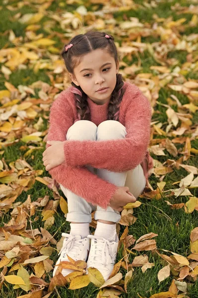 紅葉の小さな子。幸せな子供時代。学校の時間。秋の紅葉と自然。秋の森で思いやりのある女の子。周りに幸せ。真のリラクゼーション。秋の美しさ — ストック写真