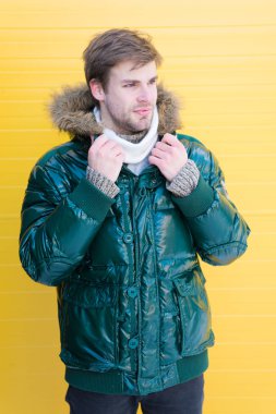 Adam sakallı hipster kürk sarı arka plan ile sıcak ceket giymek. Adam kapüşonlu sıcak ceket giyer. Sıcak giysiler içinde kendinizi rahat hissedin. Isın. Rahat kışlık giysiler. Kış şık erkek giyim