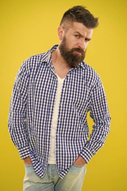 Bazı şüphelerim var. Sakal ve berber konsepti. Sakallı hippi adam sarı arka plan. Berber ipuçları sakal bırakır. Sakal bakımı çok şık. Duygusal bir ifade. Hipster görünümü