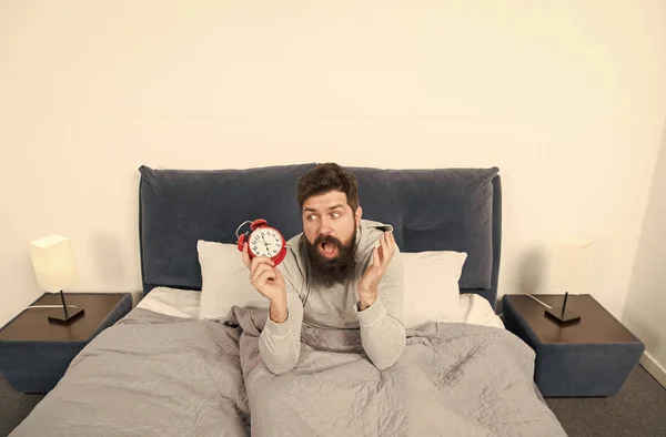 Need more sleep. Tips for waking up early. Man bearded sleepy face bed with alarm clock in bed. What terrible noise. Turn off that ringing. Problem early morning awakening. Get up with alarm clock