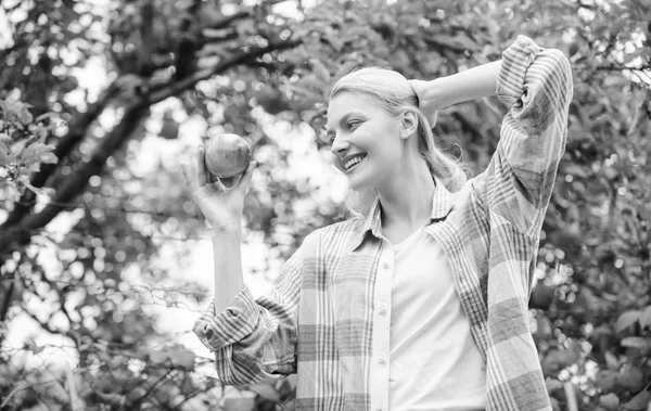 Memanen apel dari pohon buah. Panen musim semi. Buah musim panas. Wanita bahagia makan apel. gigi sehat. Kelaparan. Orchard, gadis tukang kebun di kebun apel. vitamin dan makanan diet. santai di taman — Stok Foto