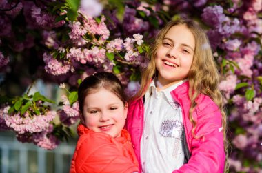 kiraz çiçeği mutlu kız kardeşler. Sakura çiçek açıyor. Cilt için doğal kozmetik. Yaz. Çocukluk güzelliği. Aile günü. bahar çiçek çiçek küçük kız çocuklar. çiçek kokusu, alerji. Kardeşlik