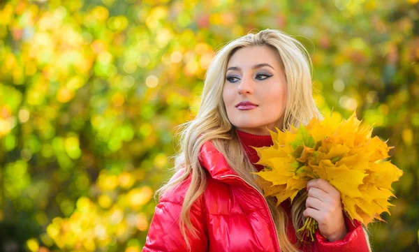 Žena pózná s listím v přírodě. Koncept pro kytice. Dívčí blondýnka v obličeji, který drží na sobě spadlý javorový žlutý listí. Žena tráví v autumském parku příjemný čas — Stock fotografie