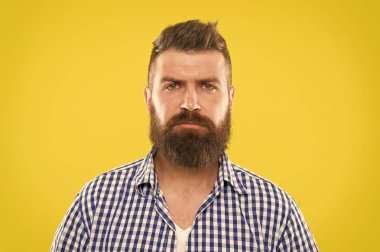 Sakallı ve ciddi. Sakal moda ve Kuaför kavramı. Adam rustik hipster şık sakal sarı arka plan sakallı. Kuaför ipuçları sakal korumak. Şık sakal ve bıyık bakım. Hipster görünüm