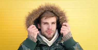 Sıcak tut. Rahat kış giyim. Kış şık erkek giyim. Adam hipster giyim sıcak ceket kürk sarı arka plana sahip sakallı. Adam kukuleta ile sıcak ceket giymek. Sıcak giysiler içinde rahat hissediyorum