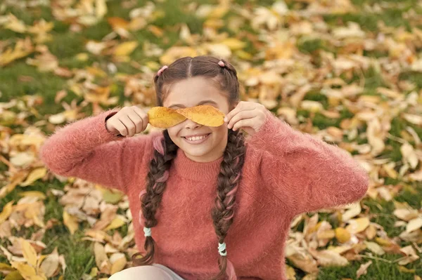 幸せな子供時代。学校の時間。秋の紅葉と自然。秋の森で幸せな小さな女の子。紅葉の小さな子。乾燥と保護されている感じ。気が狂いました。完全に自由を感じてください。 — ストック写真