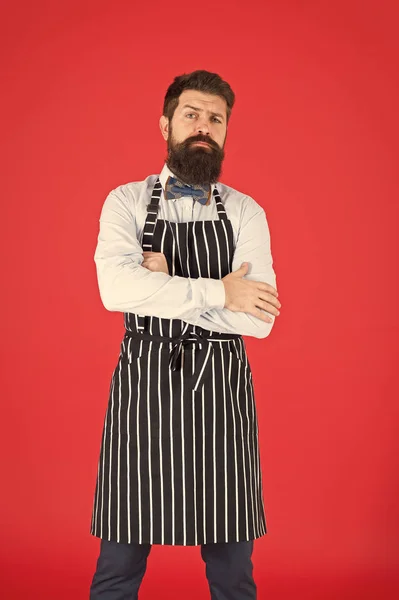 어떻게 당신을 도울 수 있습니다. 힙스터 카페 컨셉. 수염을 가진 남자 요리 힙스터 앞치마. 힙스터 요리사 요리 빨간 배경입니다. 수염이 있는 남자 요리사 요리. 레스토랑 직원과 서비스. 잘 손질 웨이터 에 작업 — 스톡 사진