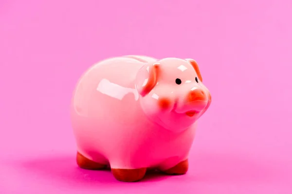 Financial education. Better way to bank. Piggy bank symbol of money savings. Piggy bank adorable pink pig close up. Accounting personal accountant and family budget. Finances and investments bank