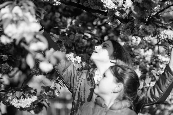 Le rose est notre préféré. Les enfants apprécient le jardin de printemps. Le jardin Sakura. Les sœurs marchent dans le parc des arbres sakura. Enfants fleurs roses de fond d'arbre sakura. Fleurs douce fleur tendre. Enfants appréciant la fleur de cerisier — Photo