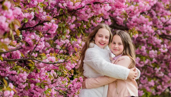 A gyerekek meleg tavasztót élveznek. Elveszett a virágzás. Lányok jelentő Sakura közelében. Gyerekek a rózsaszín virágok a Sakura fa háttérben. Botanis koncepció. Gyerekek élvezik cseresznyevirág Sakura. Virágok lágy rózsaszín felhők — Stock Fotó