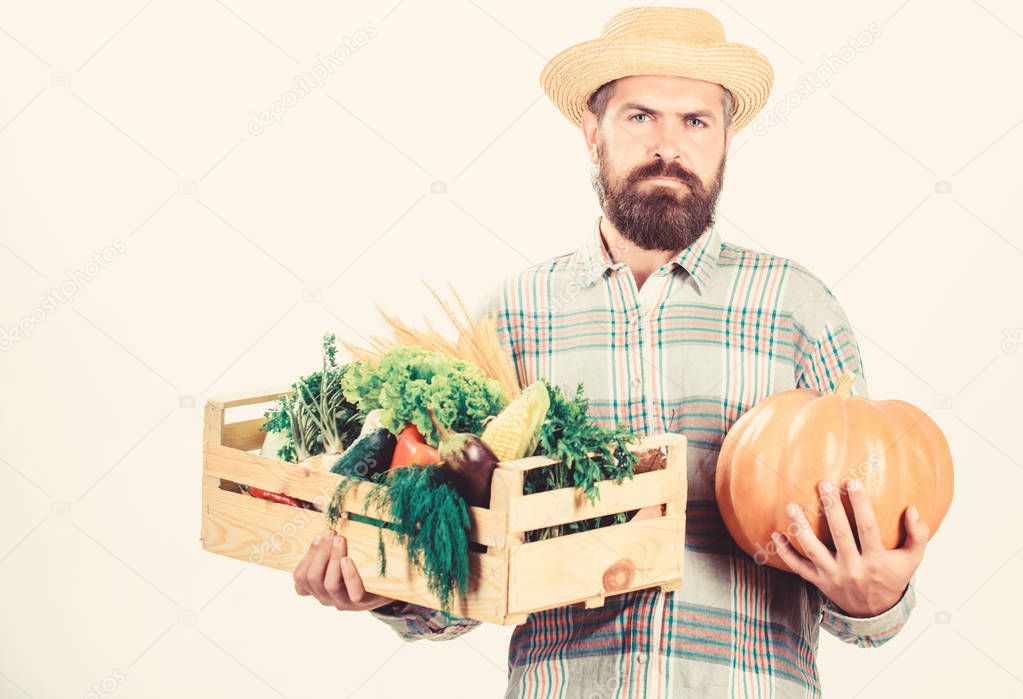 Buy local foods. Farmer rustic bearded man hold wooden box with homegrown vegetables and pumpkin white background. Farmer carry harvest. Locally grown foods. Farmer lifestyle professional occupation