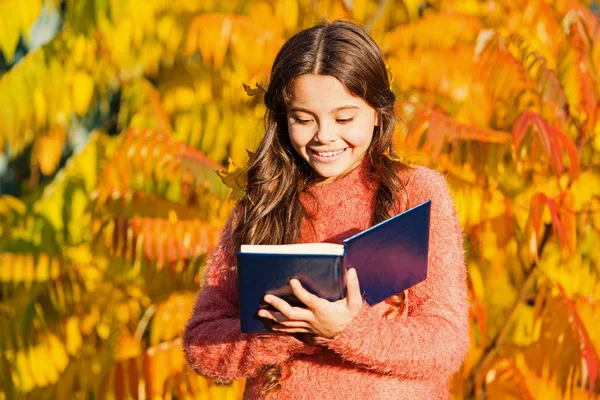 Il n'y a pas de fin à l'éducation. Petit enfant lire le livre le jour de l'automne. Petit enfant profiter de la lecture sur le paysage d'automne. Même les petits enfants qui regardent un livre d'images utilisent leur imagination — Photo