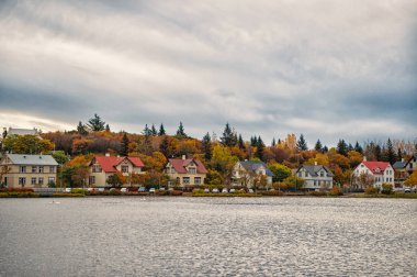 Su yüzey su birikintisi İskandinav şehir. Su birikintisi veya lake doğa ortamı hedef. Gölet çok sayıda renkli eski evleri çevrili. Tjornin gölet harika aileler Reykjavik için popüler hedef yer