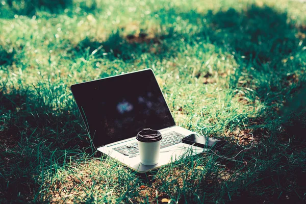 Coffee break outdoors. Summer park. Work and relax in natural environment. Its coffee time. Coffee take away. Laptop modern smartphone with earphones and coffee cup on green grass. Green office