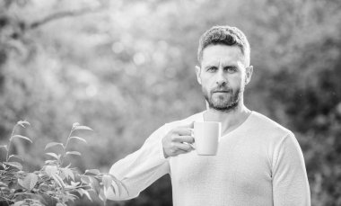 Kahvaltı ferahlık zamanı. açık çay içebilirsiniz. sabah kahvesi. sağlıklı yaşam tarzı. Doğa ve sağlık. insan için ekolojik yaşam. yeşil ormanda adam. çay bir fincan olgun adam. Sabah titreşimler