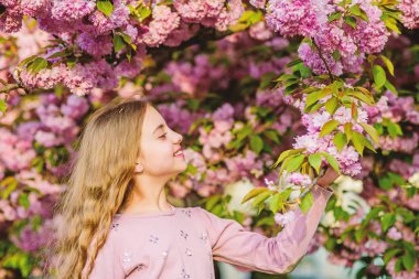Genç ve kaygısız. Yaz. Çocukluk güzelliği. Skincare. Cilt için doğal kozmetik. bahar çiçek çiçek küçük kız çocuk. çiçek kokusu, alerji. kiraz çiçek mutlu kız. Sakura ağacı çiçeklenme