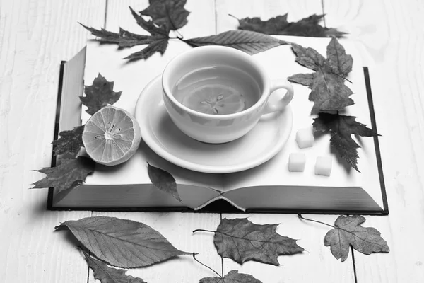 Cup of green tea with slice of lemon. Tea cup — Stock Photo, Image