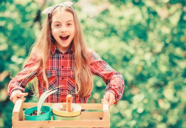 Bahçe günlük benekli böcek sorununu erkenden inceleyin. Bahçıvanlık dersleri. Ekoloji eğitimi. Çiçek eken küçük bir kız. Çiftlikte bir gün. Çiçek ekiyorum. Bitki sebzeleri. Ekim mevsimi. Popüler bahçe bakımı