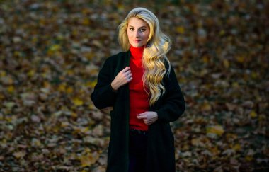 Uzun saç bakım konsepti. Nasıl hızlı ve güvenli bir şekilde saç ağartılmış tamir. Sonbahar saç bakımı kuru kıvırcık saç modeli önlemek için önemlidir. Kız muhteşem sarışın sonbahar parkı. Sonbaharda saçınıza nasıl dikkat edilir?