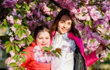 bahar çiçek çiçek küçük kız çocuklar. kiraz çiçeği mutlu kız kardeşler. Sakura çiçek açıyor. Yaz. Çocukluk güzelliği. Aile günü. Cilt için doğal kozmetik. çiçek kokusu, alerji. Kardeşlik