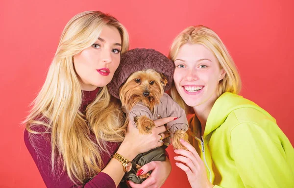 Blonde girls adore little cute dog. Women hug yorkshire terrier. Cute pet dog. Yorkshire terrier is very affectionate loving dog that craves attention. Yorkshire Terrier breed loves socialization — Stock Photo, Image