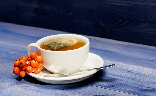 Gesundheitspflege. Aromatisches Vogelbeergetränk trinken. Tasse Tee auf blauem Hintergrund in Nahaufnahme. Gourmet köstlichen Geschmack. Kräutertee. Keramiktasse heißes frisch gebrühtes Teegetränk. Café-Speisekarte — Stockfoto