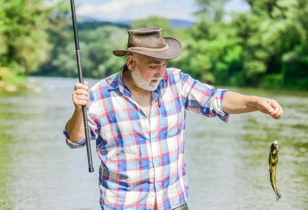Catch me if you can. mature man fishing. summer weekend. fisherman with fishing rod. trout bait. retired bearded fisher. hobby and sport activity. pothunter. man catching fish. big game fishing