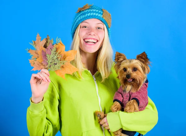 Pet health tips for autumn. Girl hug cute dog and hold fallen leaves. Woman carry yorkshire terrier. Take care pet autumn. Veterinary medicine concept. Health care for dog pet. regular flea treatment