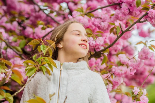 O miúdo gosta de flores cor-de-rosa. Flor suave. Brilhante e vibrante. Macio e macio. A cor-de-rosa está na minha cabeça. Rosa é o meu favorito. A menina gosta da primavera. Flores cor-de-rosa criança de jardim de árvore sakura — Fotografia de Stock