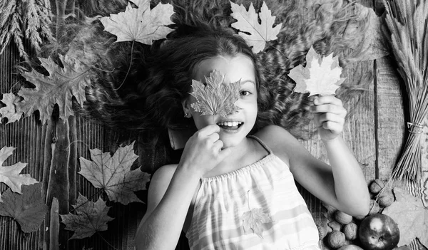 Jouer automne saison de loisirs attributs. Enfant fille mignonne jouer avec des feuilles en bois vue de dessus de fond. Enfants cheveux longs jouent avec les feuilles sèches. Le confort d'automne est juste là. Enfant humeur ludique tenir feuilles — Photo