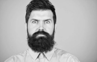 Unshaven ve yakışıklı. Kafkas hipster. Moda saç kesimi ile sakallı adam. Uzun Sakal ve bıyık ile acımasız adam. Bir hipster sakalı yetiştiriyor. Berber salonu veya berber dükkanı, kopya alanı