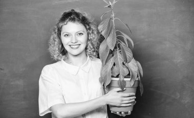 Botanik bitkiler çiçekler ve otlar hakkında. Kadın tebeşir tahtası arka plan pota bitki taşımak. İyi bakım bitkileri alın. Botanik ve biyoloji dersi. Botanik uzmanı. Botanik eğitimi. Çiçekçi kavramı