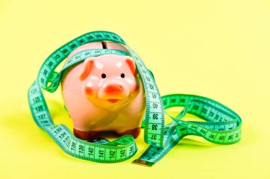 Domuz tuzağı. Bütçe krizi. Planlama bütçesi. İş problemi. Sınırlı veya sınırlı. Kumbara ve ölçüm bandı. Bütçe limiti kavramı. Kredi borcu. Finansal danışmanlık. Ekonomi ve finans