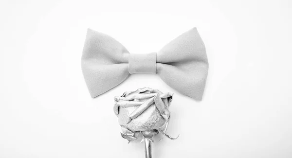 Ästhet Detail. Feste Fliege. Hochzeit des Bräutigams. Fliege binden. Textilgewebe aus nächster Nähe. modernen formalen Stil. Herrenbekleidung. perfektes Outfit. Hochzeitszubehör. Modeaccessoires — Stockfoto