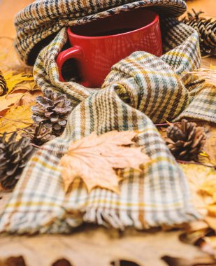 Kupa içki ve kareli atkı ve kepi. Çay bir fincan şapka ile kaplı ve eşarp arka plan düşmüş akçaağaç yaprakları ve köknar koniler ile çevrili. İçecek ısınma. Sonbahar yürüyüş için sıcak içecek