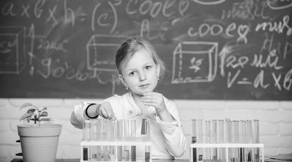 Zukünftiger Wissenschaftler. erforschen und untersuchen. Schulstunde. Mädchen niedlichen Schüler spielen mit Reagenzgläsern und bunten Flüssigkeiten. Schulchemisches Experiment. Schulbildung. Interessanter Lernansatz — Stockfoto